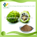 Hot sale natural noni powder